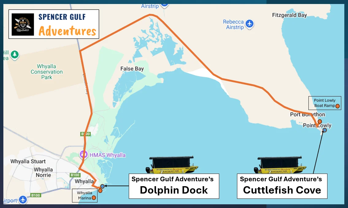 Point Lowly Map Giant Cuttlefish Tours Whyalla – See the Amazing Breeding Aggregation ...